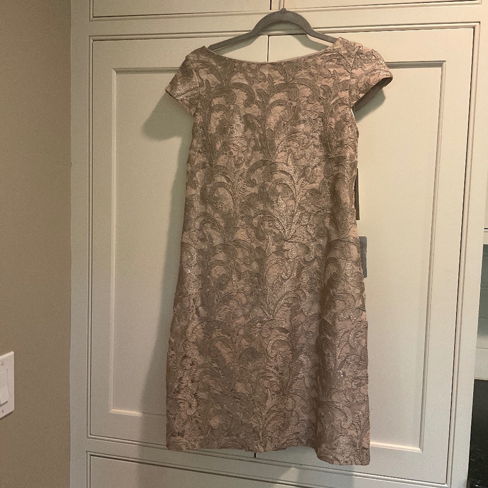 Eliza J NWT Special Occasion Dress Blush Size 2